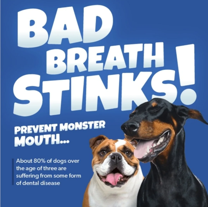 Pet Dental Water Additive