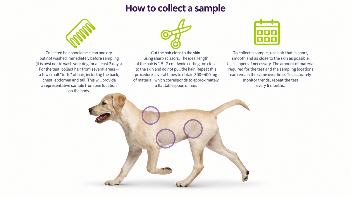 Hair Mineral Analysis: Dogs, Cats & Horses