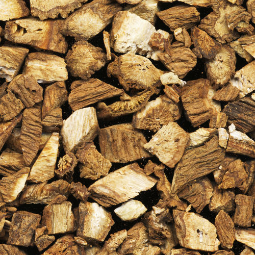 Burdock Root