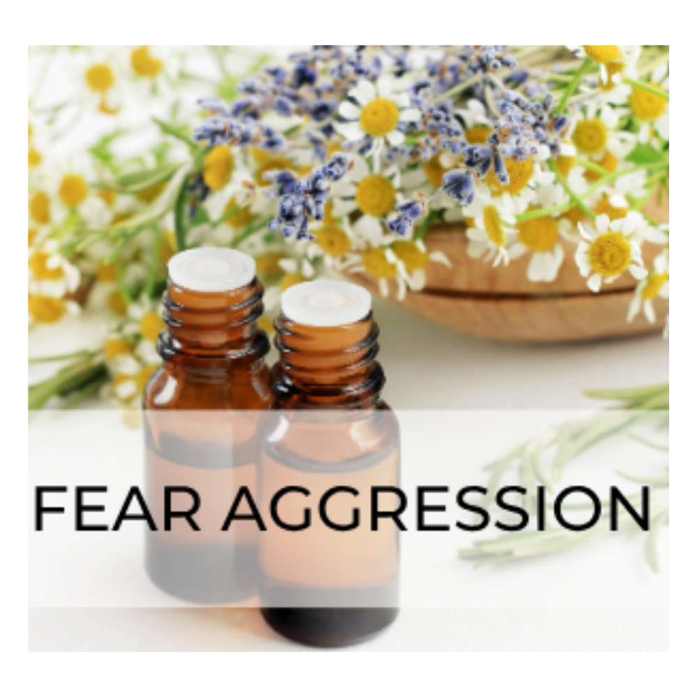 Flower Essence Blend Fear Aggression