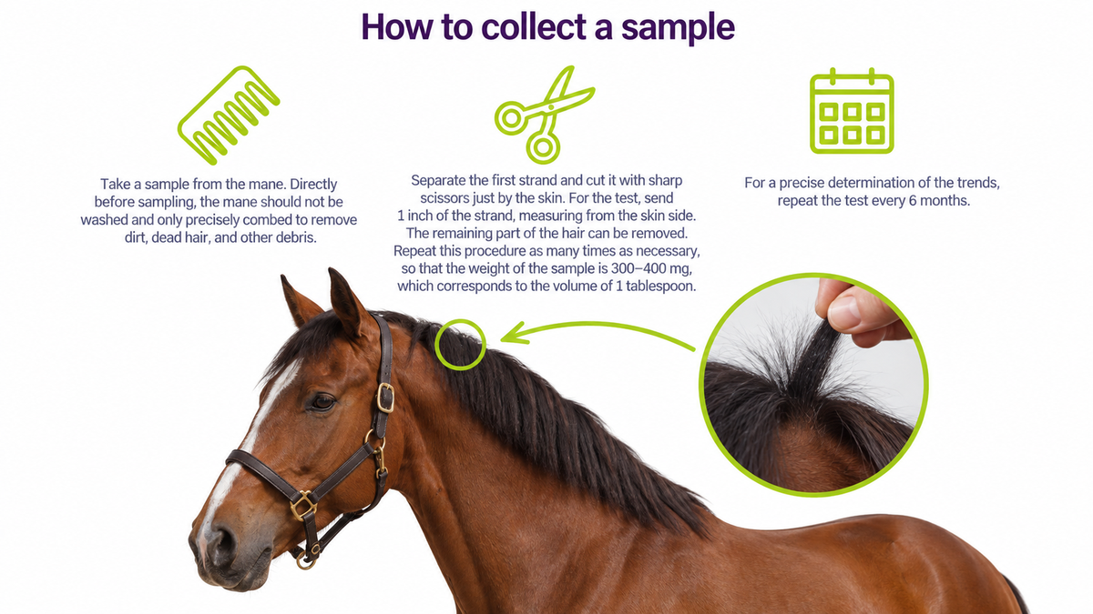 Hair Mineral Analysis: Dogs, Cats & Horses