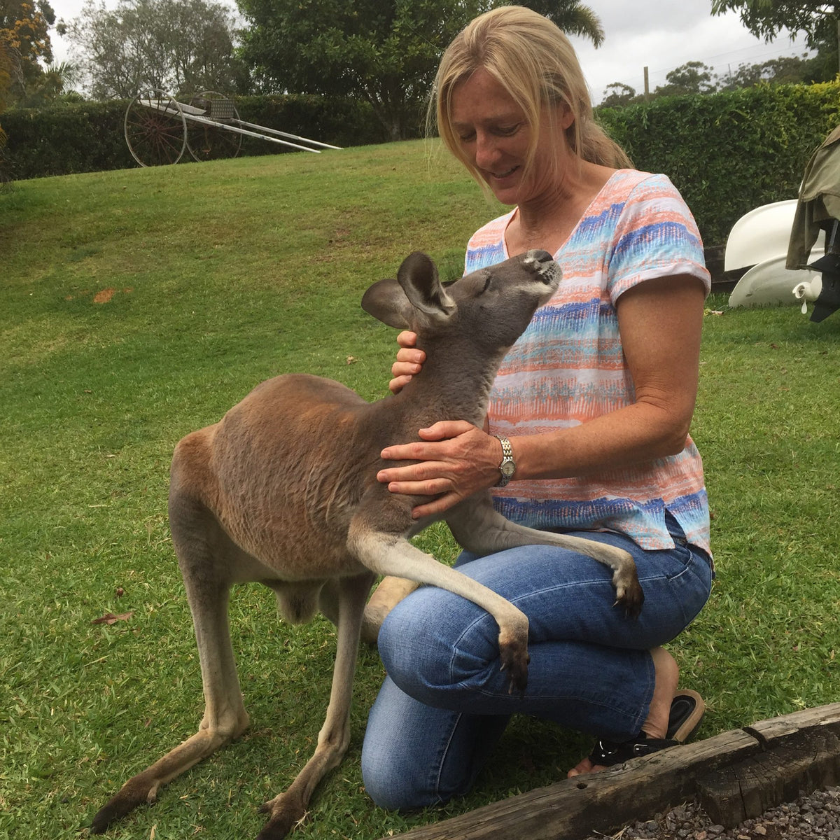 Phone Consultation with our Animal Naturopath