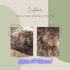 Lemon Myrtle & Hemp Pet Balm - Native Magic
