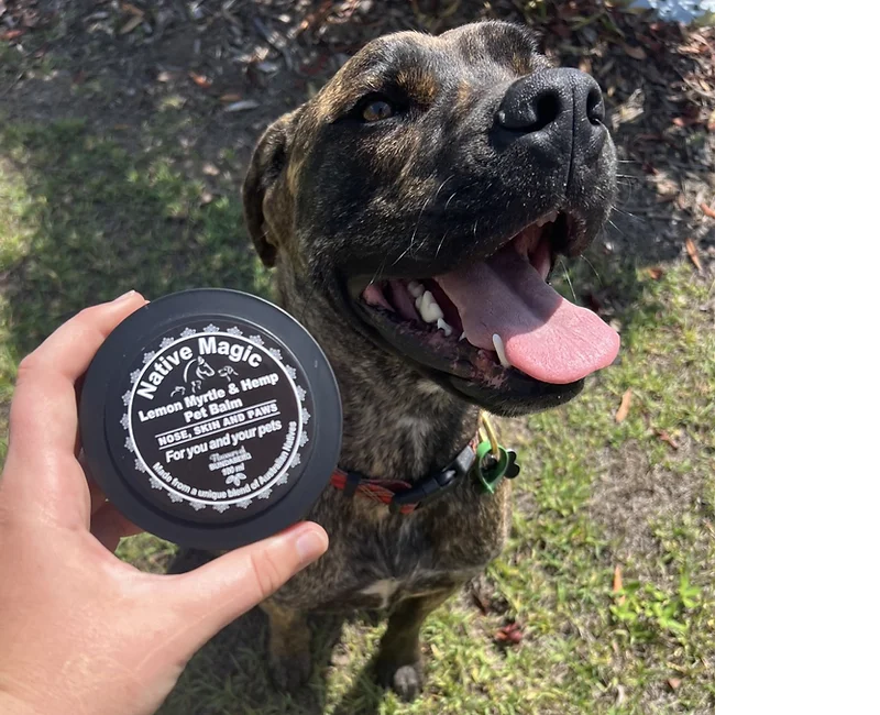 Lemon Myrtle & Hemp Pet Balm - Native Magic