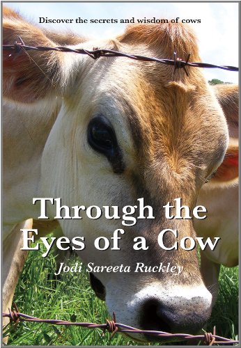 Through the Eyes of a Cow