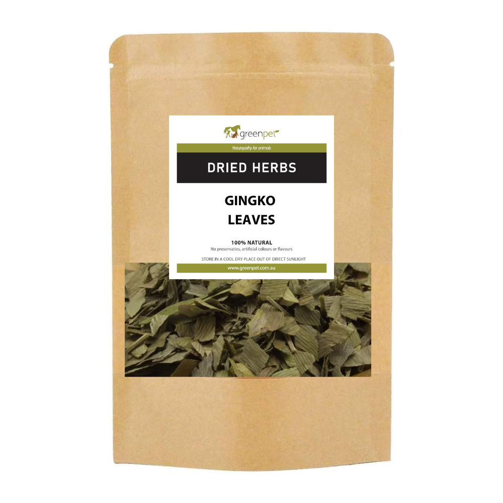 Gingko Leaves - Image 2