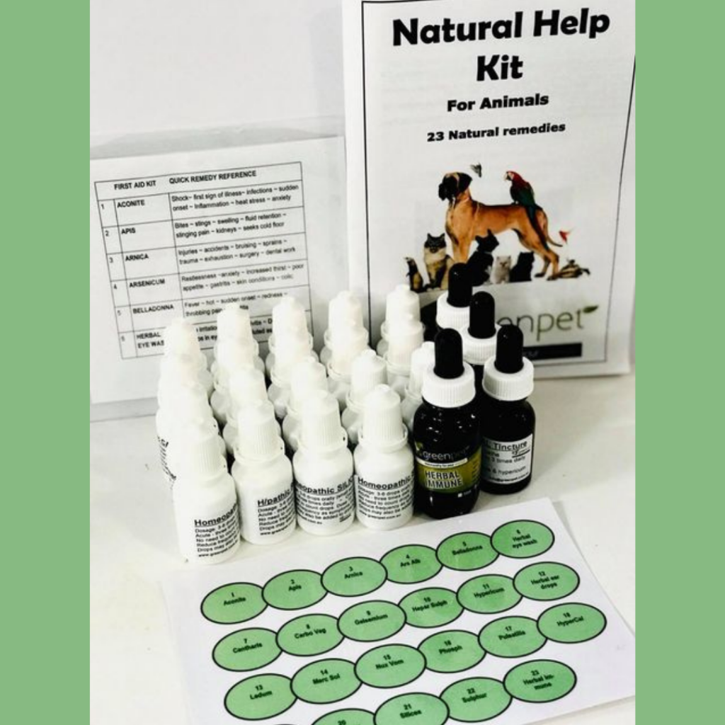 Natural First Aid Kit