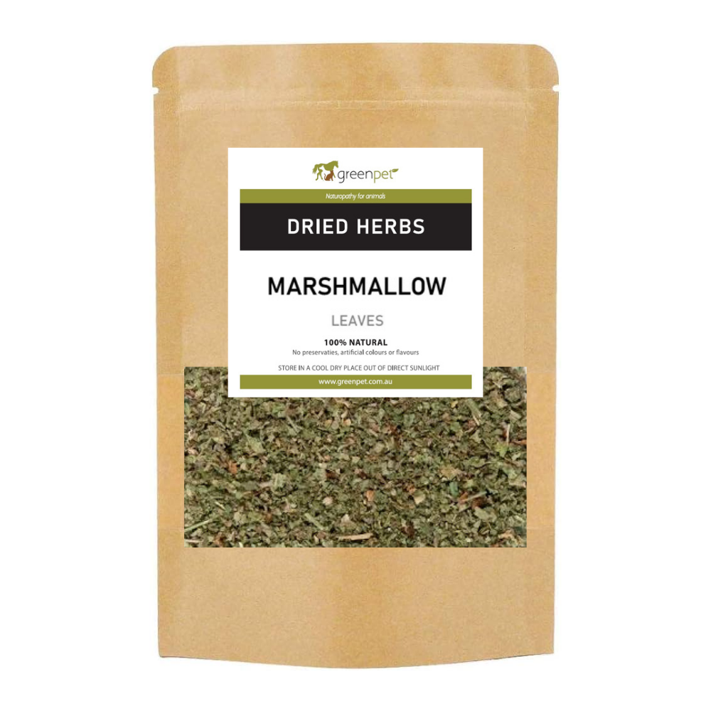 Marshmallow Root & Leaf - Image 3