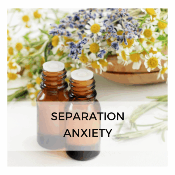 Flower Essence Blend Separation Anxiety