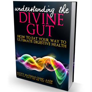 Understanding The Divine Gut