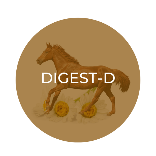 Herbal Equine DIGEST-D