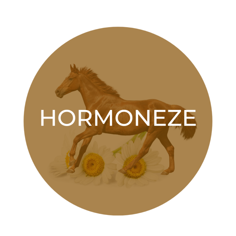 Herbal Equine Hormoneze Support