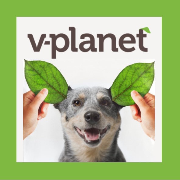 V-Planet