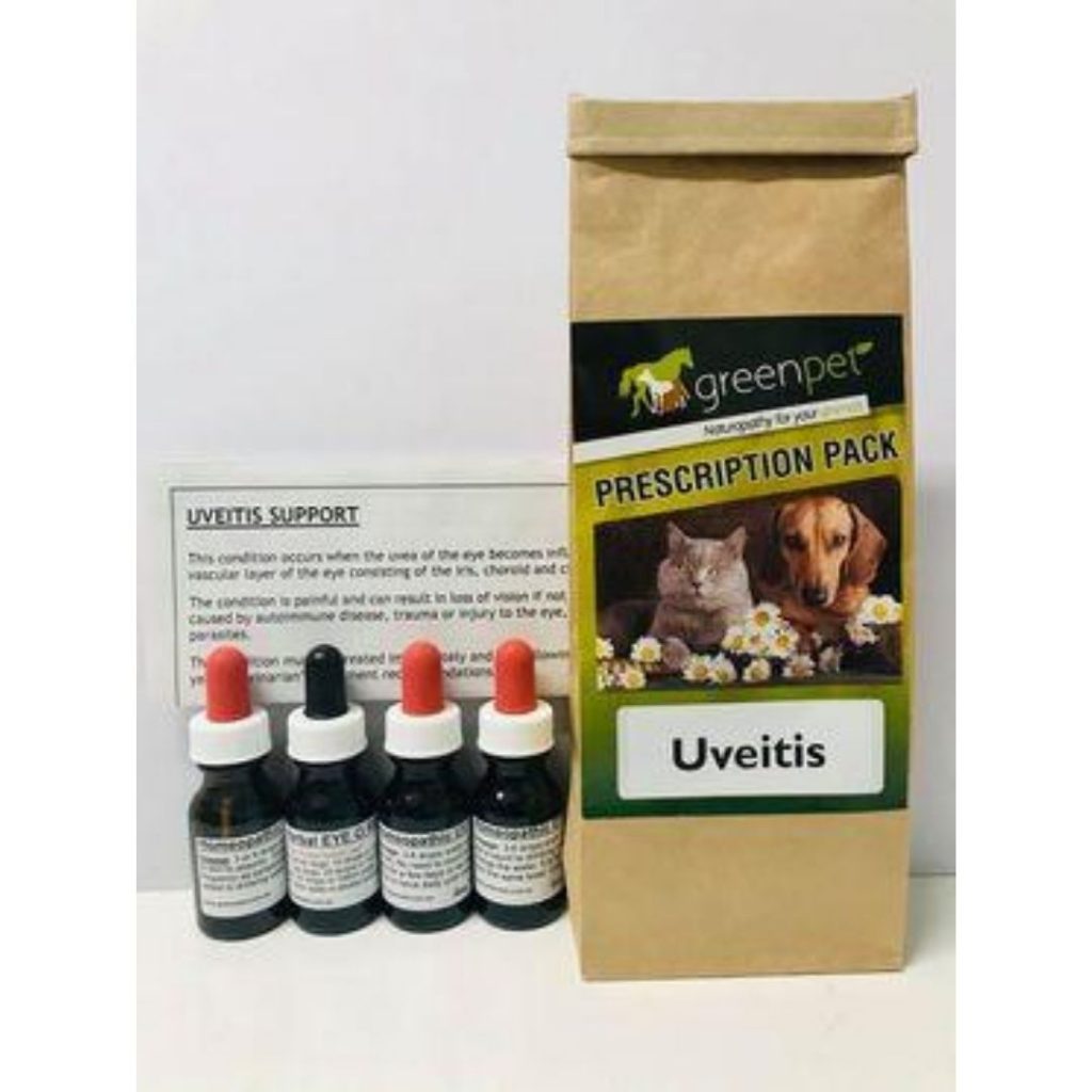Uveitis