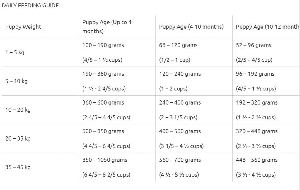 Puppy feeding guide