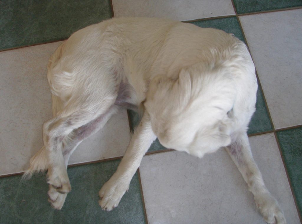 Olivia after coconut ezi