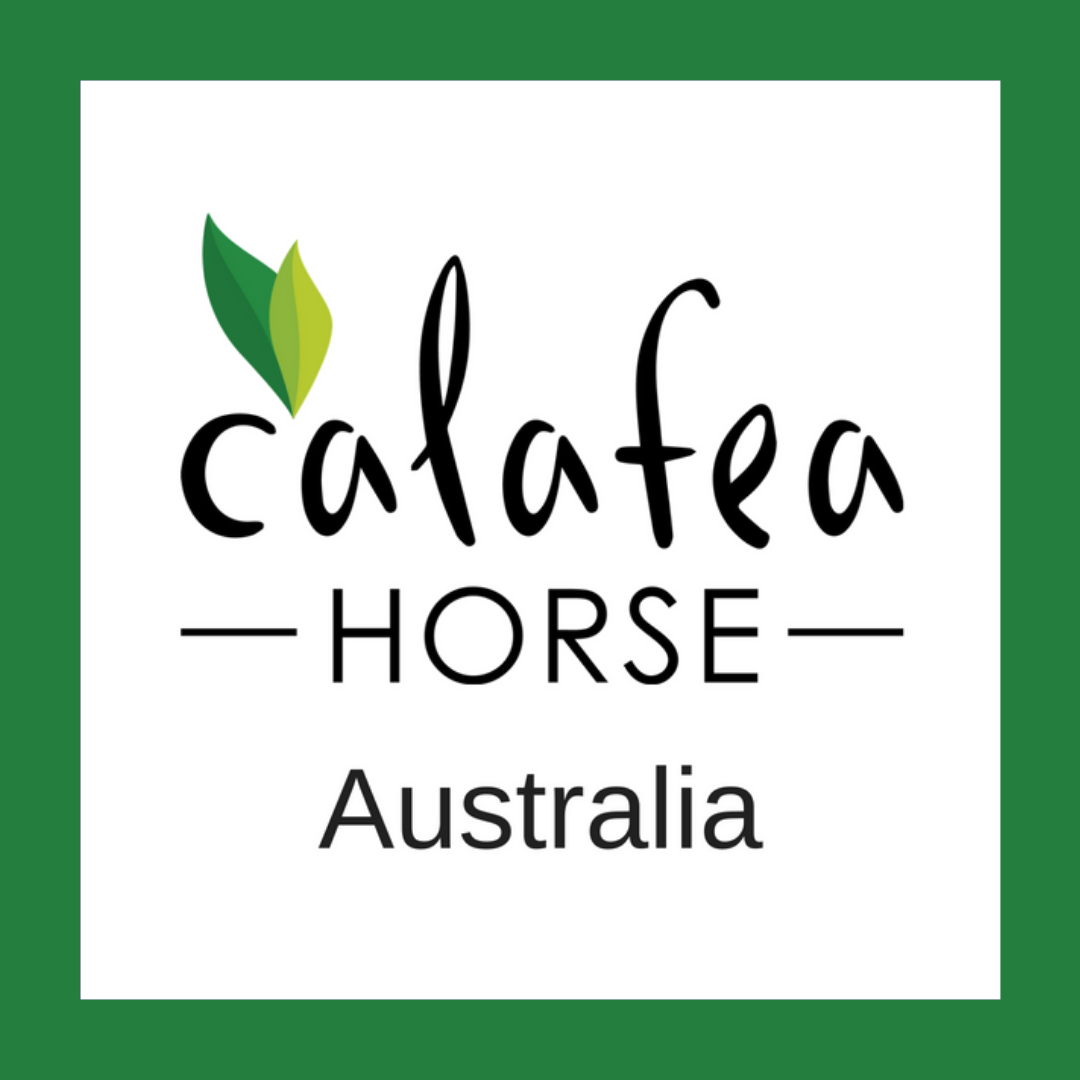 Calafea Horse Australia
