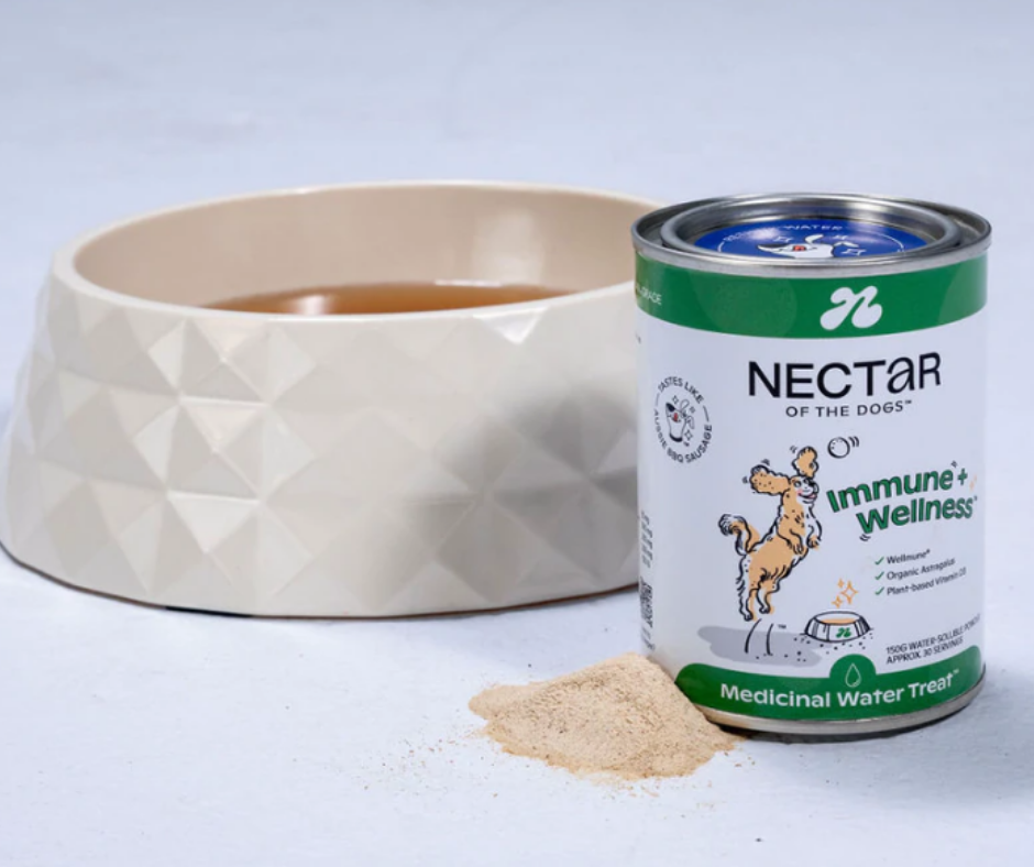 Nectar Immune + Wellness