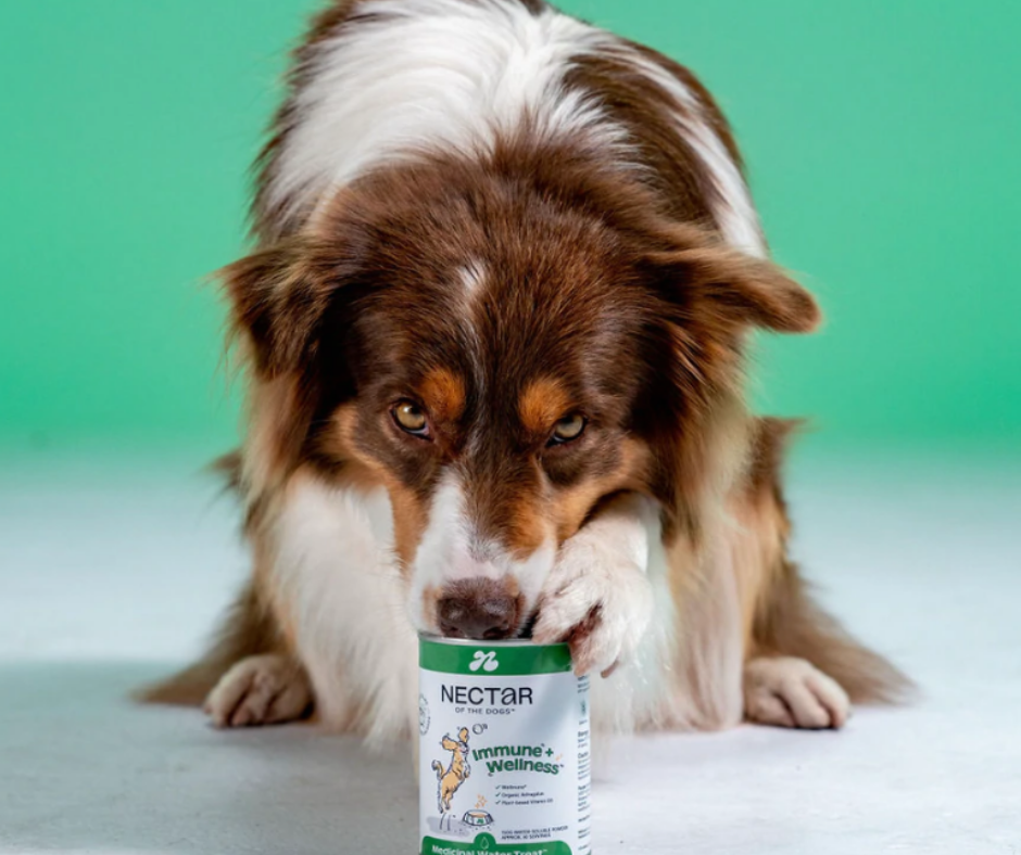 Nectar Immune + Wellness