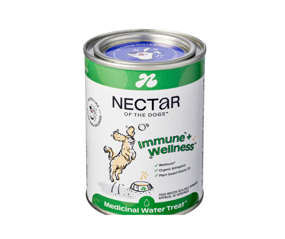 Nectar Immune + Wellness