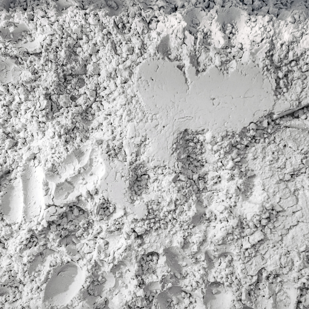 Diatomaceous Earth - Human