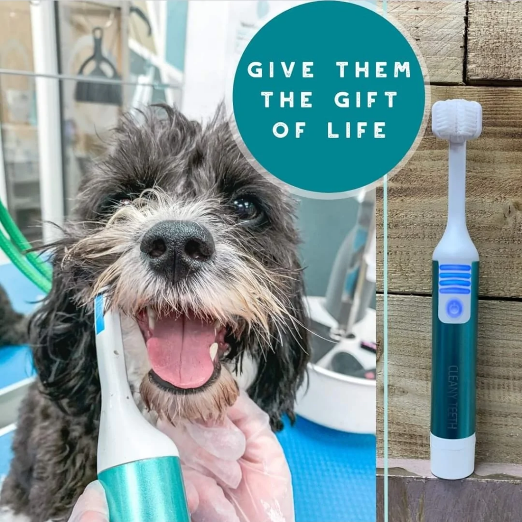 MiraPet Ultrasound Toothbrush Kit Greenpet