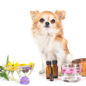 Homeopathics (V)