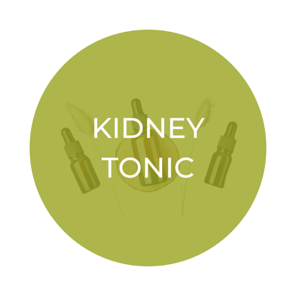 Herbal Kidney Tonic