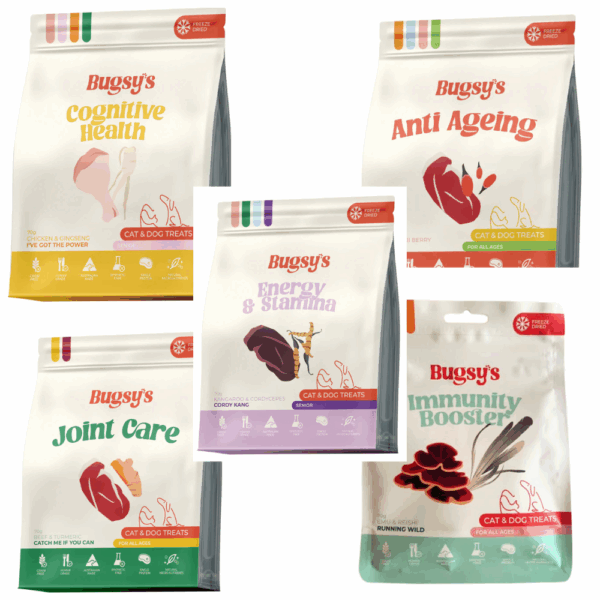 BUGSY Snacks