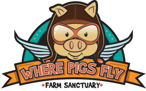 Where Pigs Fly