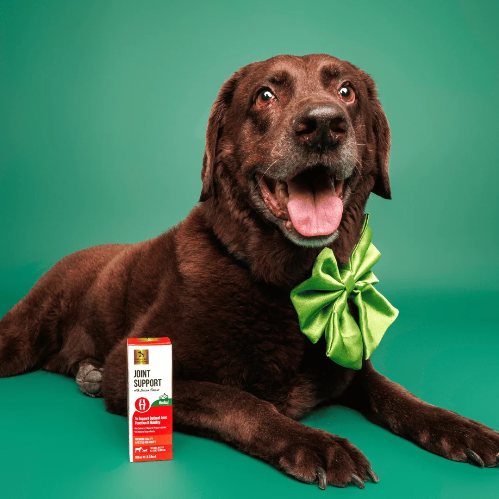 Natural Pet Supplements - Joint Support - Image 4
