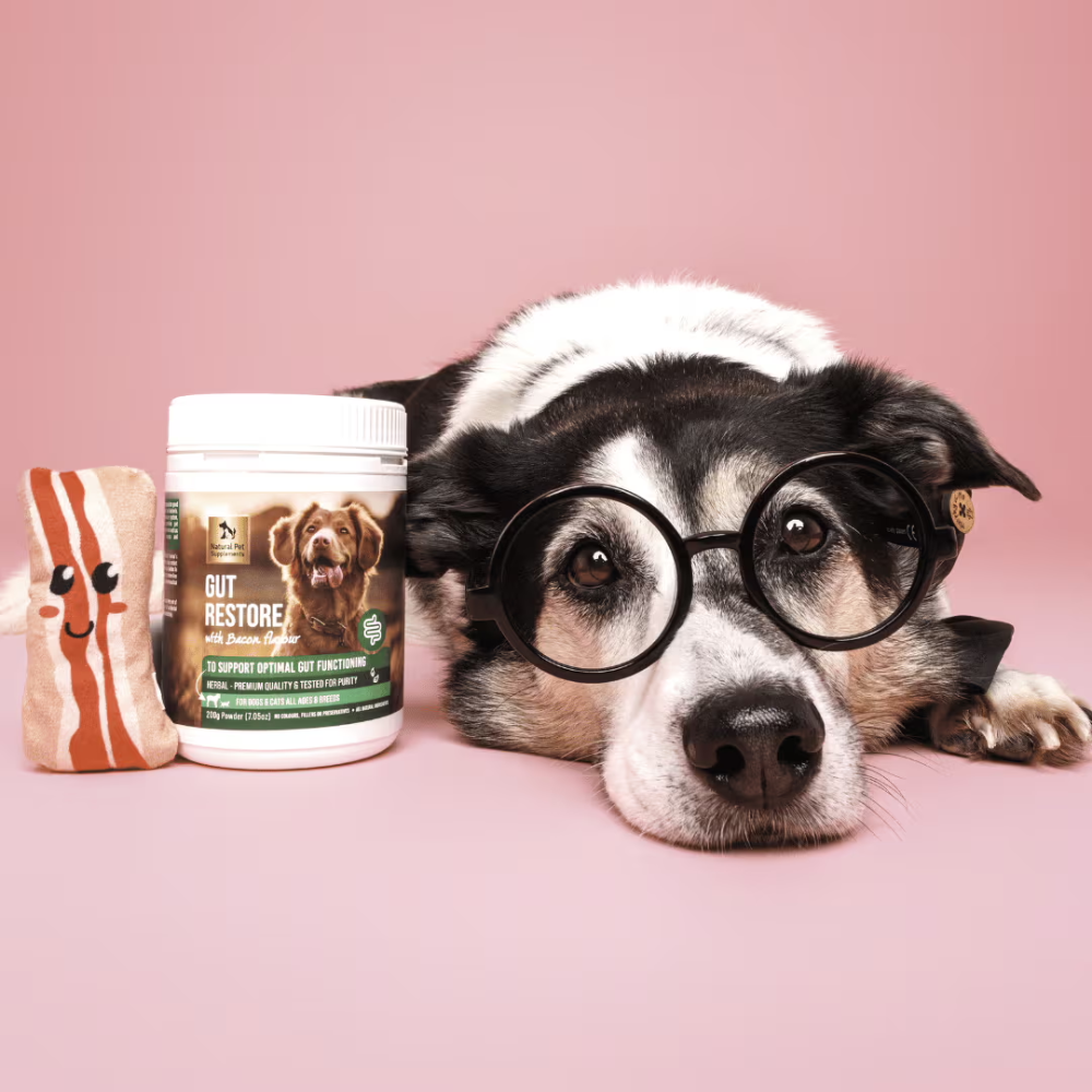 Natural Pet Supplements - Gut Restore - Image 3