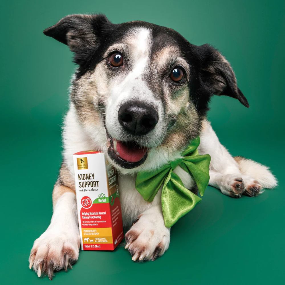 Natural Pet Supplements - Kidney Support - Image 2
