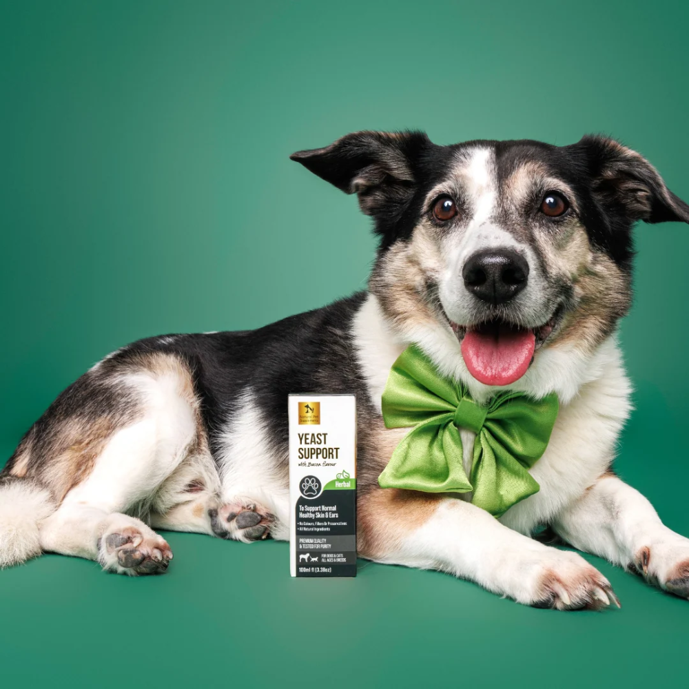 Natural Pet Supplements - Yeast Support - Image 3
