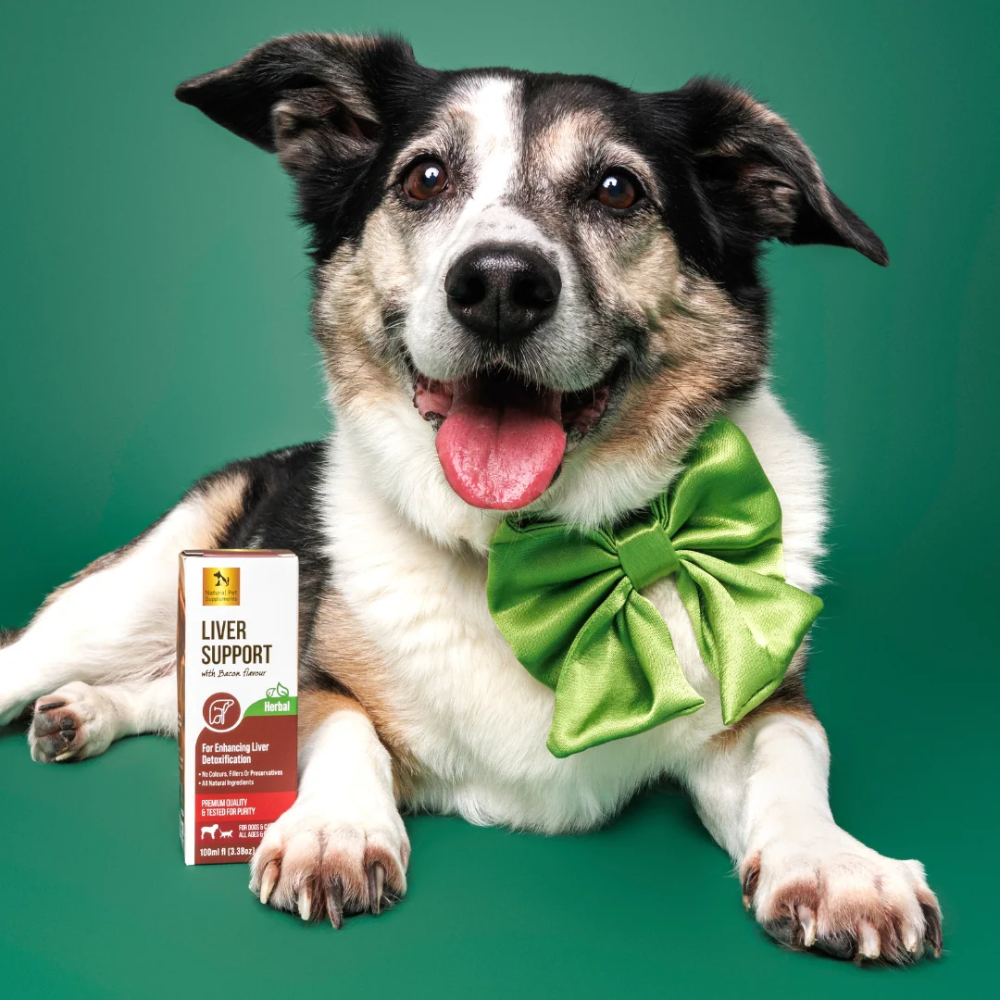 Natural Pet Supplements - Liver Support - Image 4