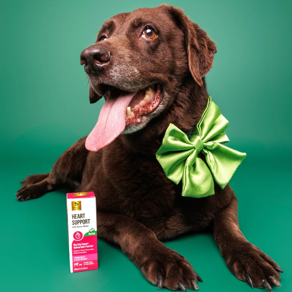 Natural Pet Supplements - Heart Support - Image 3