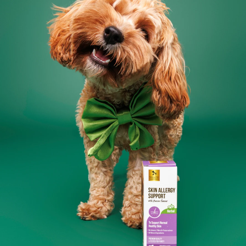 Natural Pet Supplements - Skin Allergy Support - Image 4