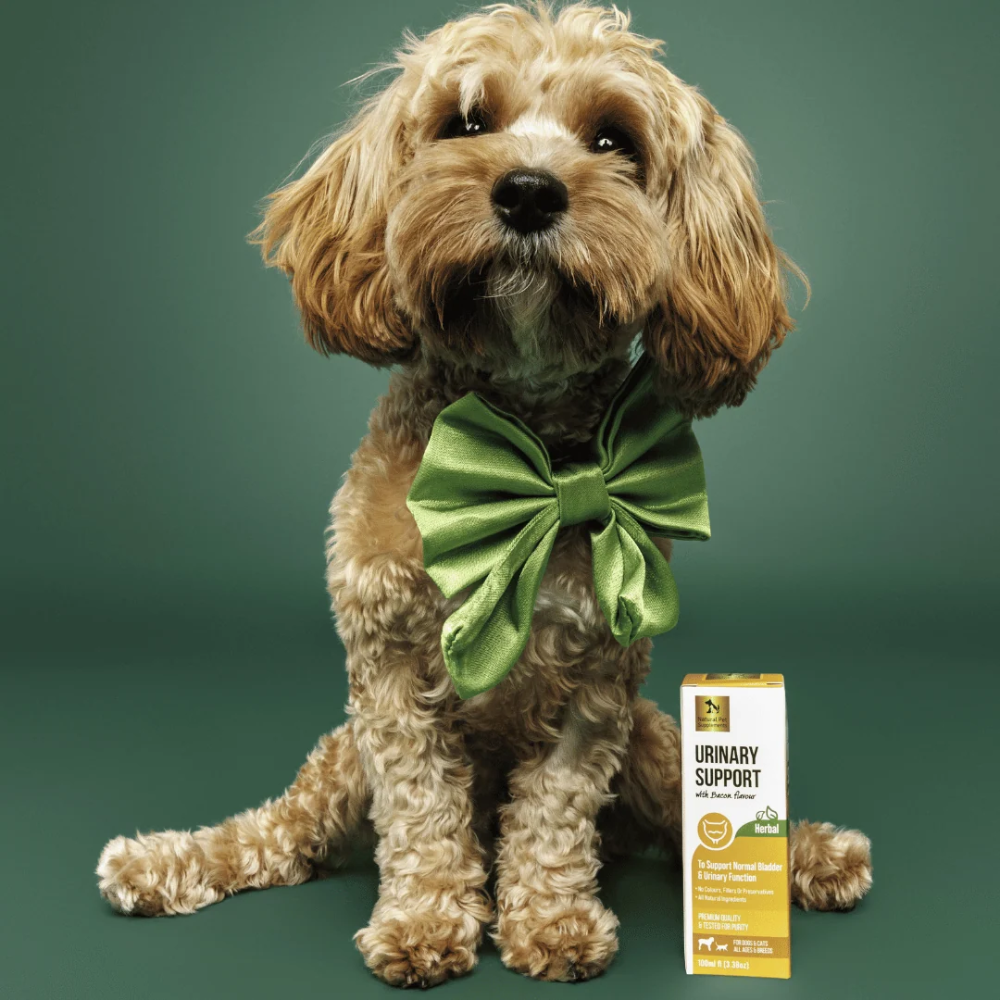 Natural Pet Supplements - Urinary Support - Image 4