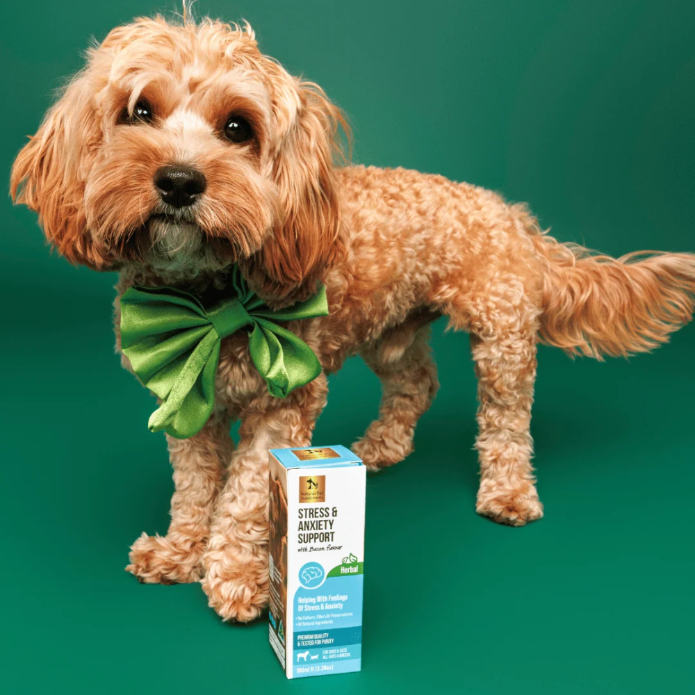 Natural Pet Supplements - Stress Support - Image 4