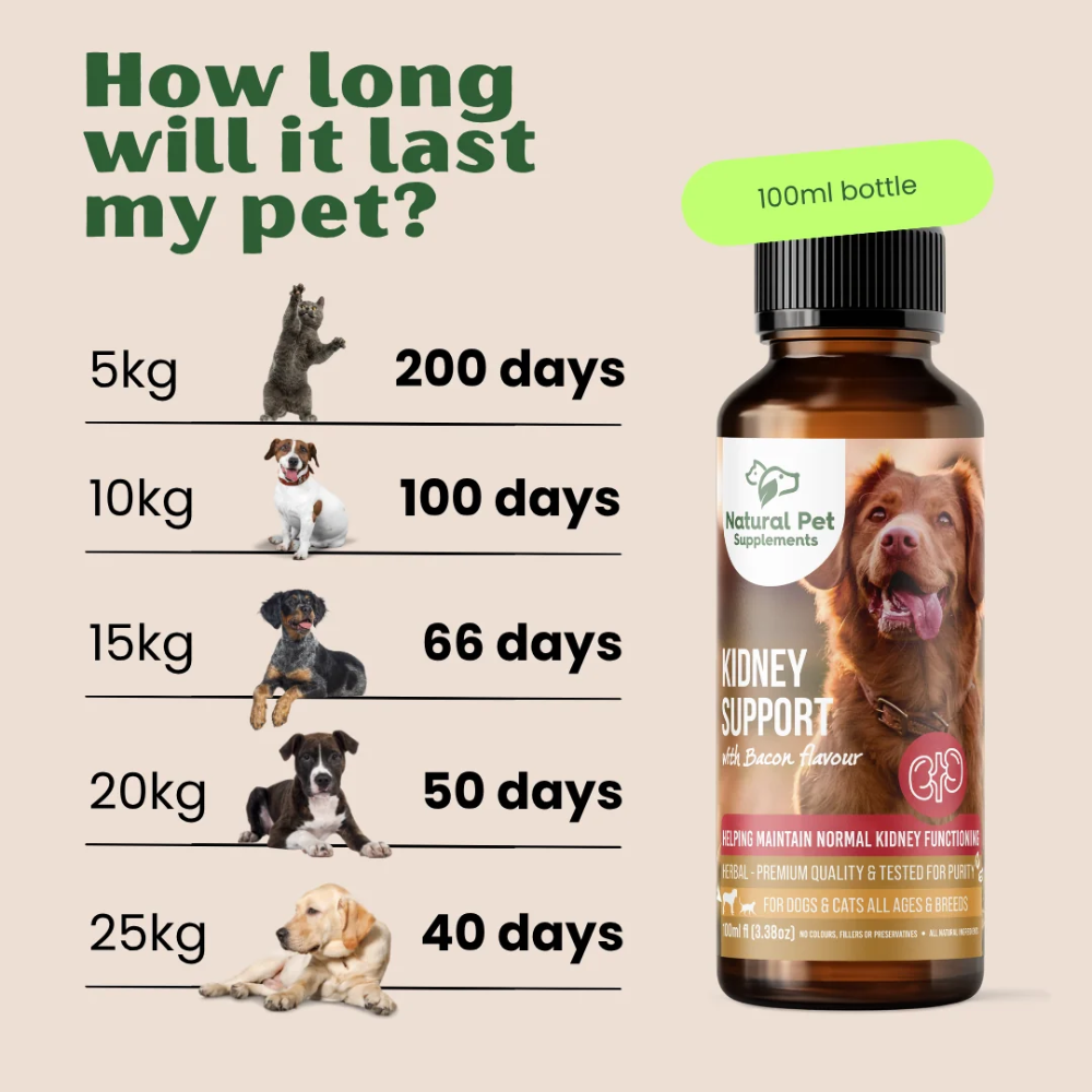 Natural Pet Supplements - Kidney Support - Image 6