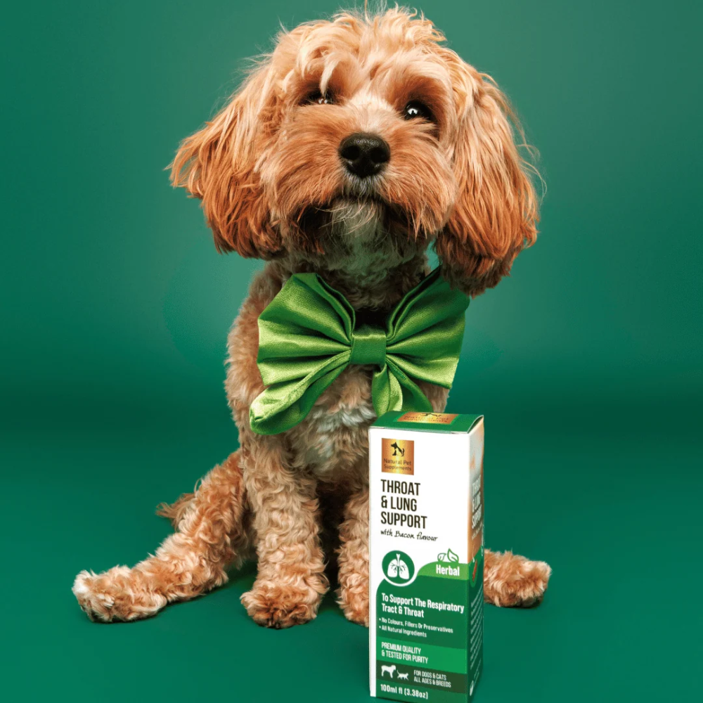 Natural Pet Supplements - Throat and Lung Support - Image 3