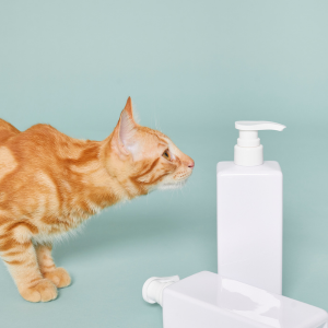 Creams, Lotions & Ointments for Cats