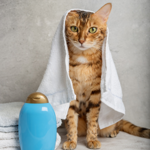 Shampoos & Soaps for Cats