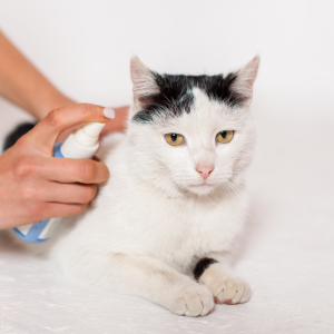 Sprays, Powders & Oils for Cats