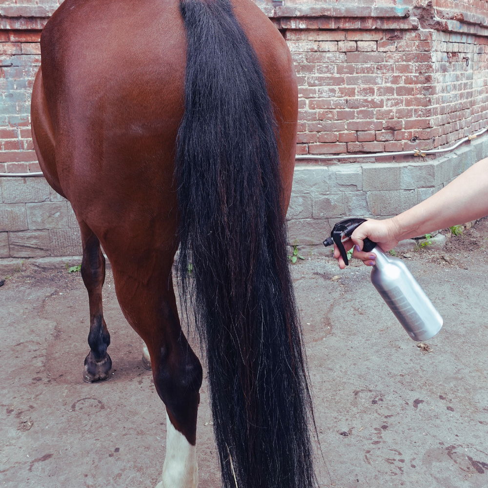 External Sprays & oils for horses