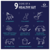 Digestive EQ - Equine Gut Supplement - Image 4