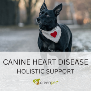 Canine Heart Disease Holistic Support Guide