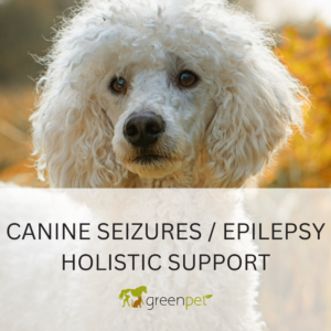 Canine Seizures / Epilepsy Holistic Support Guide