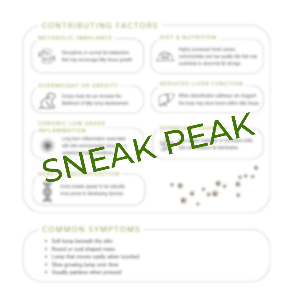 Canine Lipoma Holistic Support Guide - Image 2