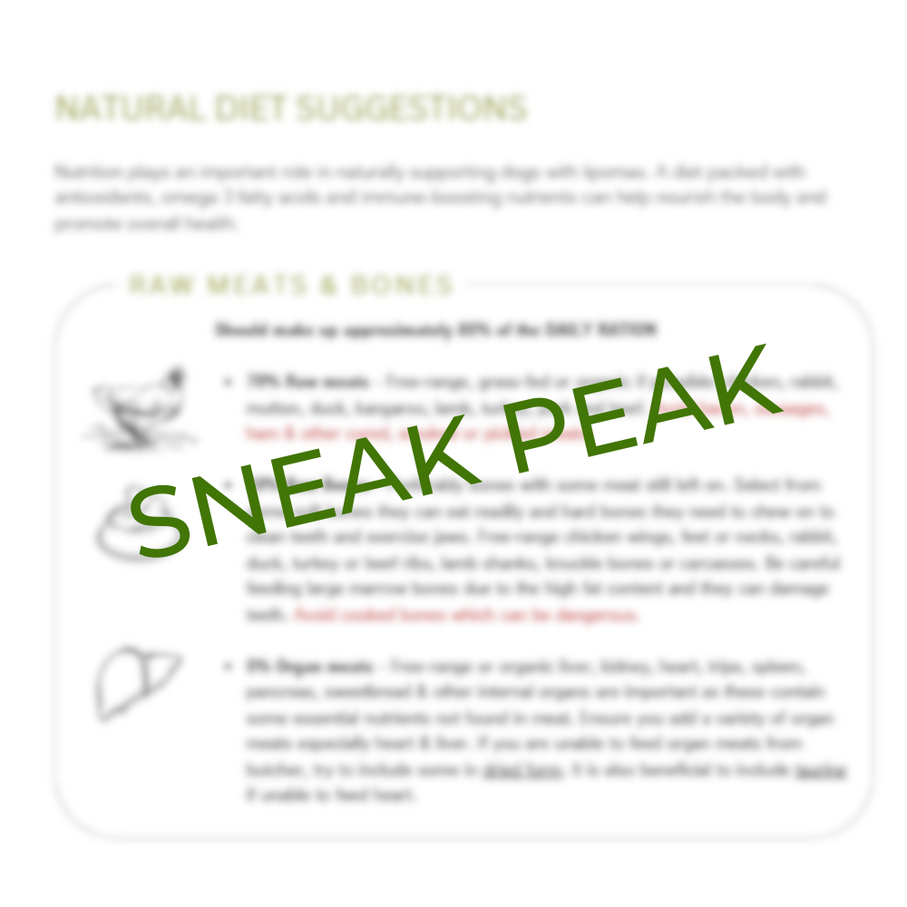 Canine Lipoma Holistic Support Guide - Image 3